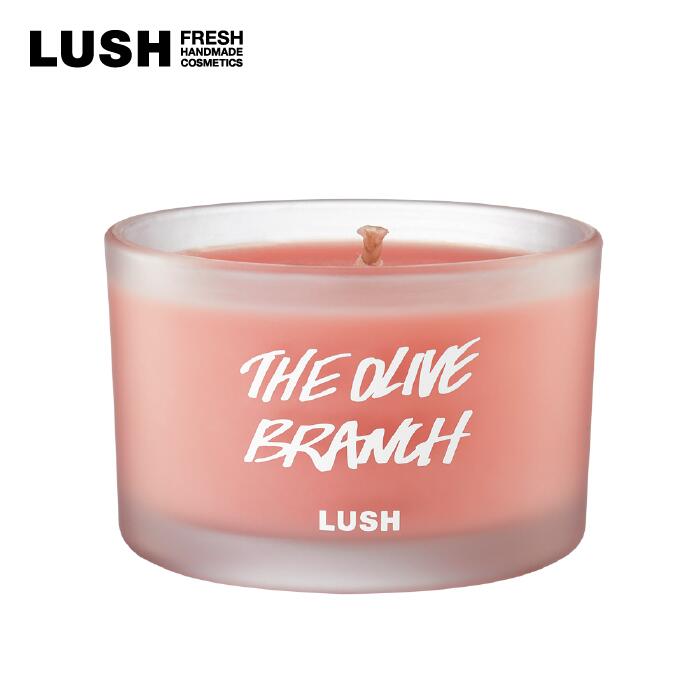 LUSH å  Ϻ ɥ ץ쥼ȸ ץե Ϲ ե쥰 Хʥ ꡼ åǥ ̷ ...