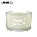 LUSH ラッシュ 公式 オレンジ ブロッサム キャンドル プレゼント向け プチギフト 蝋燭 フレグランス シトラス フローラル アロマ いい匂い 手作り すりガラス 自然由来