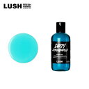 LUSH ラッシュ 公式 Dirty スプリングウォッシュ ボディソープ シャワージェル 全身用 ミント 爽快 清涼感 プレゼント ハンドメイド コスメ