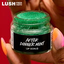 LUSH アフターディナーミンティ リップ スクラブ クリスマス 限定 2025 人気 かわいい ヴィーガン コスメ ラッシュ 公式