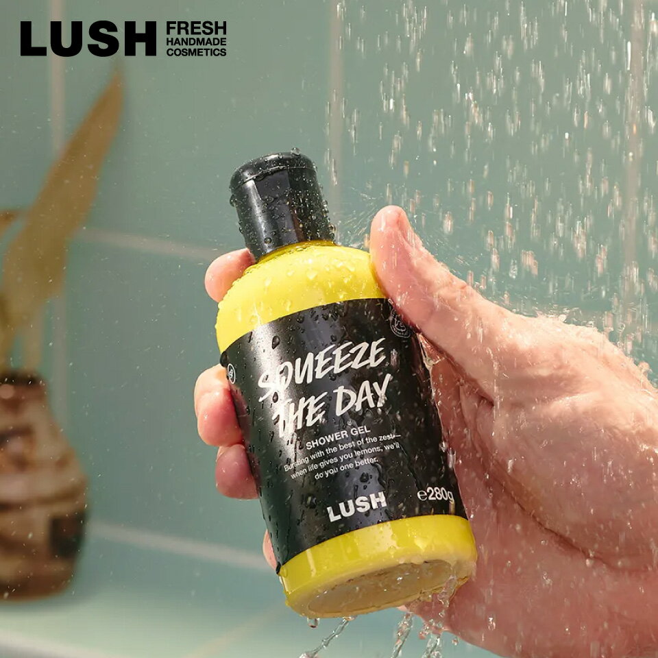 楽天市場】ボディソープ LUSHの通販