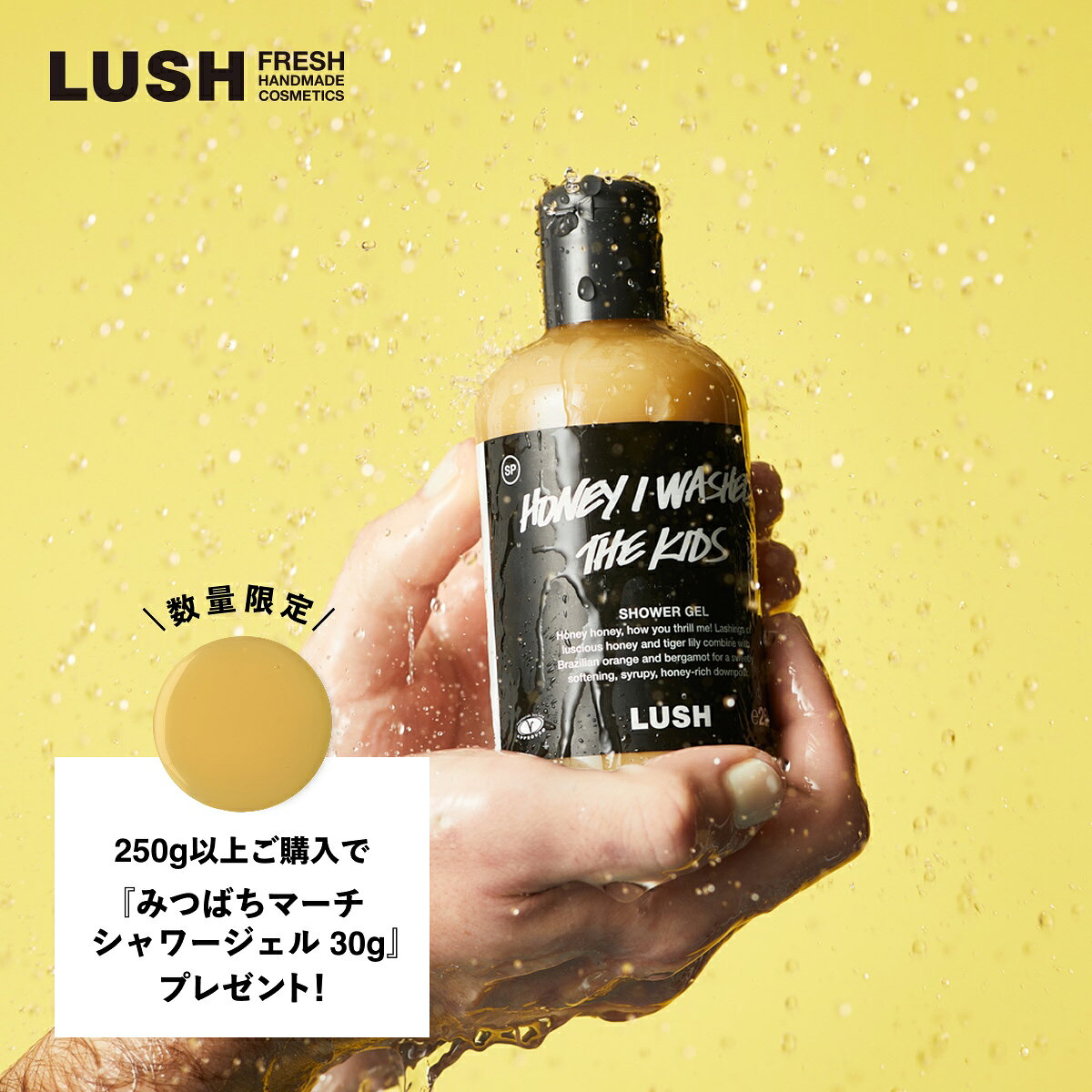 楽天市場】ボディソープ LUSHの通販
