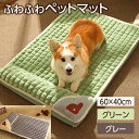 ペットベッド お昼寝マット 枕付き マット 犬 猫 【4/24 20時- P5倍 1,500円以上100円OFFクーポン 】 ペットマット ベッド 室内 マット 洗える 春 クッション かわいい お昼寝 小型犬 中型犬 ふわふわ あたたかい 夏秋 オールシーズン 送料無料