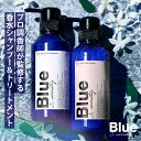 セット Blue 香水シャンプー 325ml トリートメント 330g 美容室専売品 縮毛矯正 プロ調香師が監修 ジャスミン ホワイトムスクの香り メンズ ブルー アミノ酸 サロンシャンプー コンディショナー リンス ケラチン 男性 サロン専売