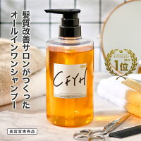 髪質改善サロン オールインワンシャンプー 500ml 美容室専売品 縮毛矯正 リンスイ...