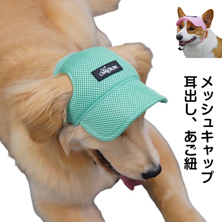 Rakuten - あご紐 キャップ おしゃれ メッシュ 抜けない 犬帽子 可愛い 耳出し 犬服 犬服 犬用品 小型犬 中型犬 ドッグウェア 日よけ 紫外線防止 サンバイザー 夏バテ防止 白内障 犬 ペット服 被り物 メッシュキャップ かわいい