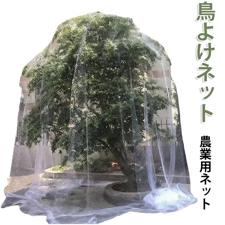 2点セット 農作物 網 ベランダ鳥よけネット ゴミ置き場 田畑 防鳥網 防鳥 畑 鳥よけネット 果樹園 果物 透明 防鳥ネット ハト カラス ヒヨドリ ムクドリ 鳥ネット ベランダネット ネット 鳥よけ 鳩よけネット 2点セット 農業用ネット 害鳥ネット