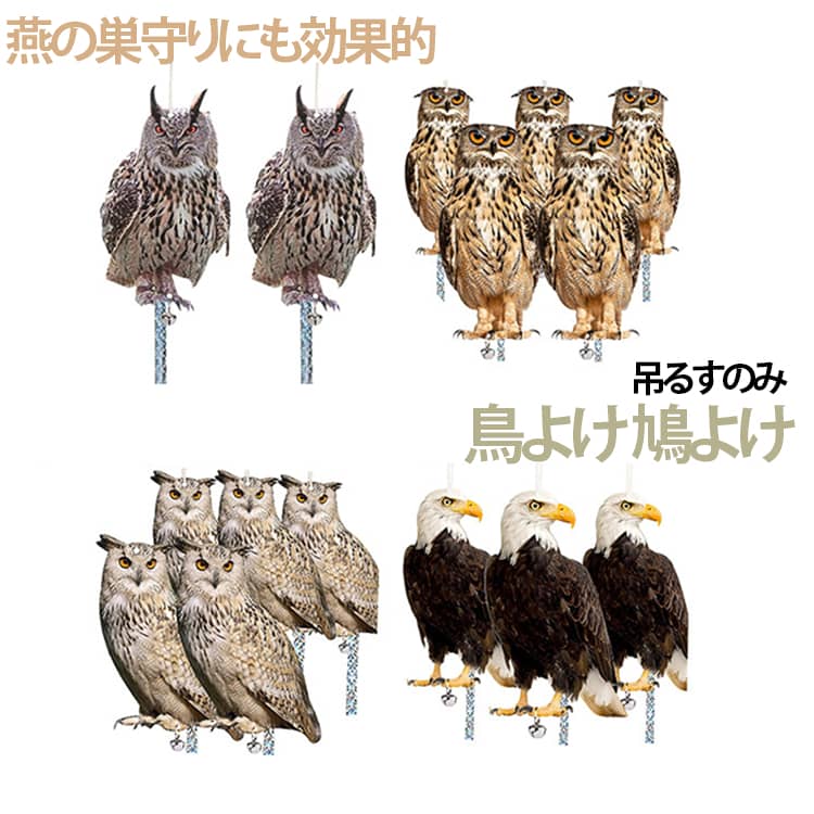 Rakuten - フクロウ型 鳥よけ 害鳥対策 鳥除け カラスよけ アクリル 撃退グッズ カラス対策 鳥避け カラスよけグッズ光 燕の巣守りにも効果的 簡単設置 特許有 鳥害対策 吊るすのみ ゴミ置き場 反射 送料無料 屋外 ベランダ 畑 庭 鳥よけ 家庭菜園 果樹園