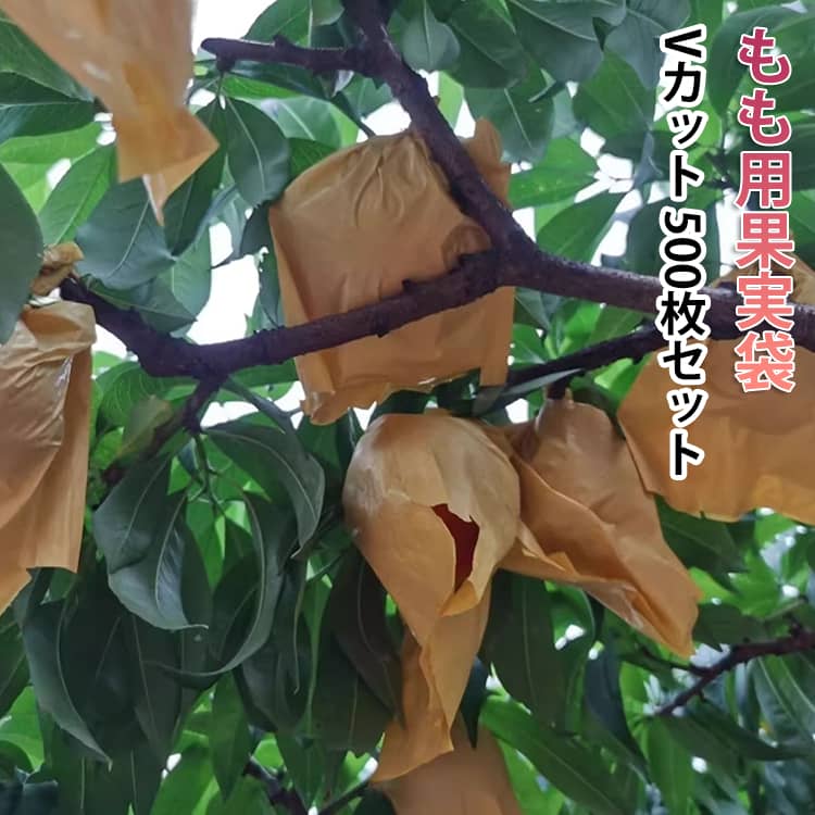 樂天商城 - 桃の掛け袋 果樹 果実掛袋 防鳥 500枚セット もも用 果実袋 防鳥 Vカット 果物 防雨 SNS話題 防虫 園芸 保護袋 防日灼 15×18cm DIY 工具 業務 産業用 農業用 果実袋 通気性 モモ保護 農業資材