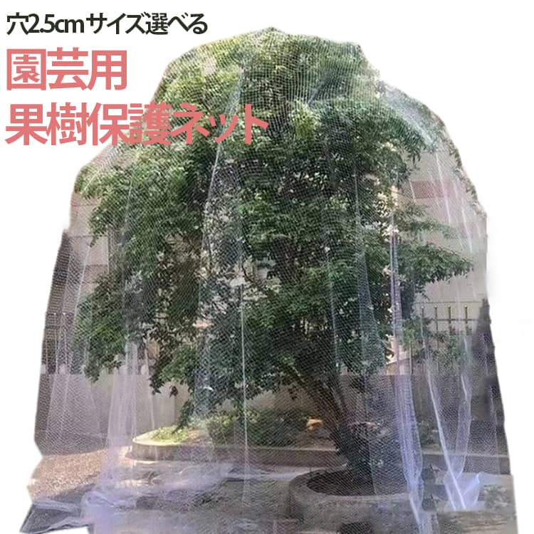Rakuten - 防鳥ネット 6m 9m すっぽり 7m 8m 果樹 5m 防鳥ネット 果樹用 果樹 防鳥ネット 防鳥網 保護ネット 園芸用ネット 鳥除け網 鳩よけネット ジャボチカバ びわ さくらんぼ ブルーベリー リンゴ 果実保護 鳥よけ