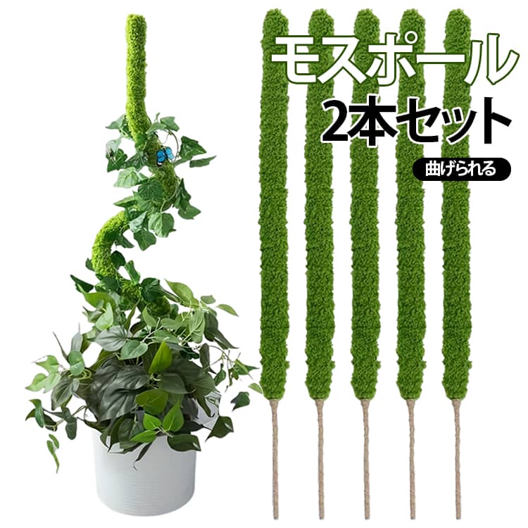観葉植物やモンステラなどのつる性植物の成長をサポートするモスポール支柱2本セットです。支柱本体がワイヤー入りで、植物の成長や飾りたい形に合わせてハート型・円形などに。植物支柱の底部は土に挿しやすく、植物の根系を傷つけないように設計されています。工具不要で手が汚れないため、女性や高齢者でもストレスなく使用できます。モンステラ、ポトス、トマトなどの着生植物や蔓性の観葉植物の栽培に適しています サイズ 長さ30cm 長さ40cm 長さ50cm 長さ60cm サイズについての説明 F　長さ30cm/40cm/50cm/60cm 素材 プラスチック 色 2本セット 備考 ●サイズ詳細等の測り方はスタッフ間で統一、徹底はしておりますが、実寸は商品によって若干の誤差(1cm～3cm )がある場合がございますので、予めご了承ください。 ●製造ロットにより、細部形状の違いや、同色でも色味に多少の誤差が生じます。 ●パッケージは改良のため予告なく仕様を変更する場合があります。 ▼商品の色は、撮影時の光や、お客様のモニターの色具合などにより、実際の商品と異なる場合がございます。あらかじめ、ご了承ください。 ▼生地の特性上、やや匂いが強く感じられるものもございます。数日のご使用や陰干しなどで気になる匂いはほとんど感じられなくなります。 ▼同じ商品でも生産時期により形やサイズ、カラーに多少の誤差が生じる場合もございます。 ▼他店舗でも在庫を共有して販売をしている為、受注後欠品となる場合もございます。予め、ご了承お願い申し上げます。 ▼出荷前に全て検品を行っておりますが、万が一商品に不具合があった場合は、お問い合わせフォームまたはメールよりご連絡頂けます様お願い申し上げます。速やかに対応致しますのでご安心ください。