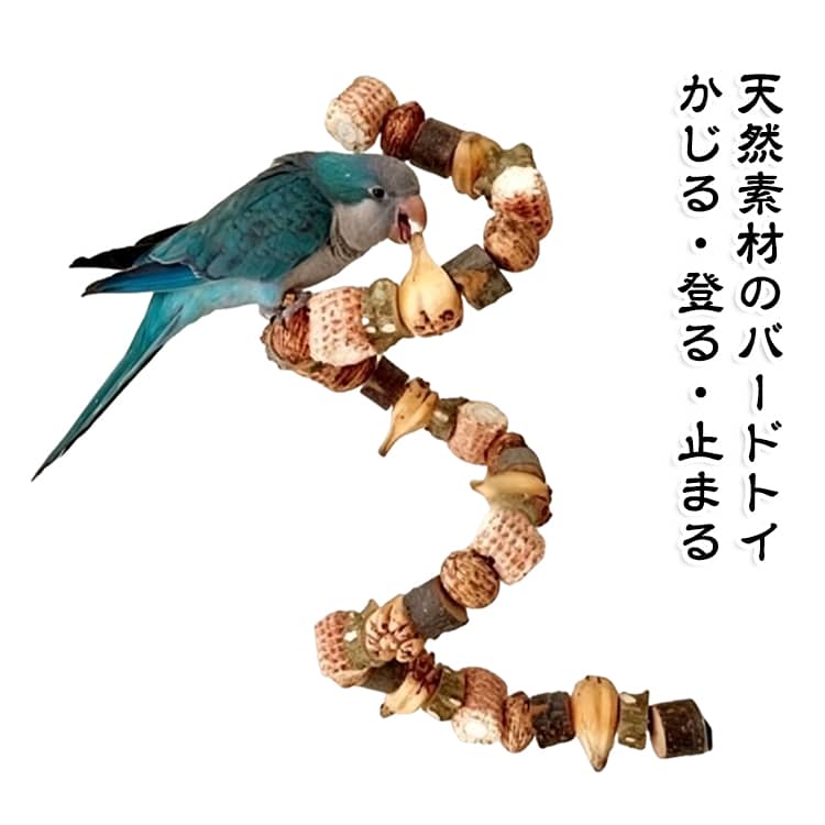 楽天市場】かじり木 インコ（おもちゃ｜鳥用品）：ペット・ペット