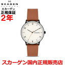 スカーゲン 腕時計（メンズ） 【国内正規品】SKAGEN スカーゲン 腕時計 ウォッチ メンズ RIIS リース SKW6883