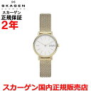 yKizXJ[Q SKAGEN rv EHb` p fB[X SIGNATUR LILLE VOl`[ [ zCg  XeXXeB[uXbg SKW2693