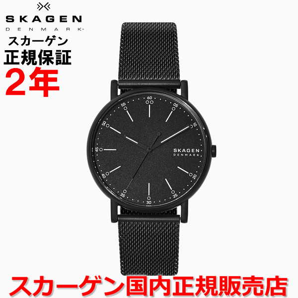 スカーゲン 腕時計（メンズ） 【国内正規品】SKAGEN スカーゲン 腕時計 ウォッチ 男性用 メンズ SIGNATUR シグネチャー ブラック文字盤 黒 ステンレススチールブレスレット SKW6579