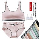 2点セット パンツ リブ ガールズ レディース ジュニアブラ ジュニア下着セット ショーツ パッド付き 送料無料 カップ付き 大人 女の子 ブラジャー インナー...