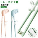 トレーニング箸 トレーニングはし お箸 練習 キャラクター ダイナソー 口が開ける 子供 練習用箸 子ども箸 こども 子ども グッズ おはし 持ち方覚え箸 2歳...
