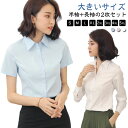 ビジネス シャツ レディース フォーマル ワイシャツ スーツ 就活 オフィス 事務服 Yシャツ 無地 白 ノーアイロン 黒 無地 半袖/長袖2枚セット 形態安定...