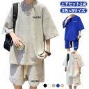 ハーフパンツ メンズ 半袖 セットアップ 夏服 Tシャツ ハーフパンツ ゆったり tシャツ 大きいサイズ トップス 上下セット ジャージ 重ね着風 半袖 ショー...
