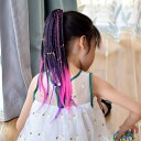 12本セット ヘアゴム エクステ 三つ編み 編み込み 12色セット キッズ ヘアアクセサリー グラデーション かつら エクステンション カラフル ウィッグ 付け髪 ヘアエクステ ヒップホップ ダンス 衣装 イベント 簡単 便利 ヘアーエクステンション 女の子 発表会 アレンジ