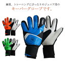 キーパーグローブ サッカー フットサル ジュニア ゴールキーパー 少年 練習用 トレーニング キッズ キーパーグローブ ジュニア 手袋 練習 試合用 こども用 ...