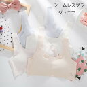 スポーツブラ ジュニア キッズ 中学生 小学生 女の子 送料無料 シームレス スポブラ ナイトブラ 下着 女子 ファーストブラ ジュニアブラ ハーフトップ ブラ...