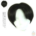 メンズウィッグ ウイッグ かつら ウィッグ 男性用 安い 送料無料 フルウィッグ メンズ コスプレ かつら メンズ ショット 自然 ナチュラルショート