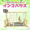 おもちゃ 吊り下げ 木 小鳥 止まり木 タワー インコ 木製 鳥 玩具 皿付く はしご アスレチック 休憩 揺らして 無害 取付け簡単 送料無料(3)