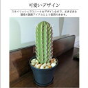 カクタス 爪楊枝入れ 3Dプリント 簡単取り出し つまようじ入れ サボテン形状 爪楊枝ホルダー 爪楊枝ケース インテリア かわいい キッチン カフェ ギフト 装...
