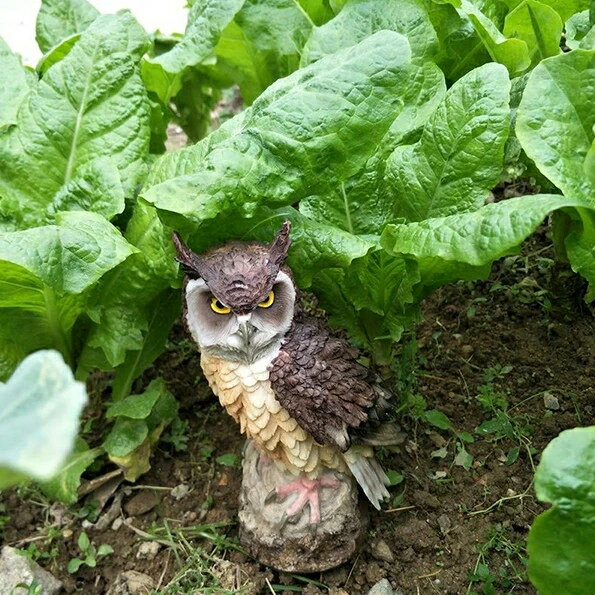 フクロウ 鳥よけ 鳩よけ 鳥対策 本物そっくり 樹脂 防鳥防獣対策 カラス対策 防鳥...