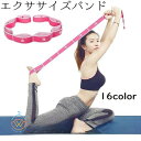 送料無料 エクササイズバンド トレーニングチューブ ループ 連続 ゴム...(4)