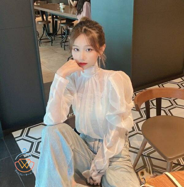 送料無料 シースルー ハイネック ブラウス 長袖 トップス レディース 春 秋 スタンドカラー シアートップス カジュアル 韓国 ファッション 白 シアー シャツ インナー パワーショルダー ボリューム袖 おしゃれ 大人可愛い セクシー km 新生活