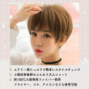 ウィッグ ショート ボブ フルウィッグ ふんわり ストレート ショートヘア レディース 黒 茶色 大人可愛い 自然 かつら カツラ 小顔効果 耐熱 コスプレ 男装 前髪あり ストレートヘア 衣装 仮装 女装 アイテム 黒髪 茶髪 韓国系 wig 前髪あり ブラック ブラウン さらさら 艶