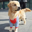 関節保護 パーカー 大型犬 ドッグウエア 犬の服 中型犬 長袖 部屋着 抜け毛防止 パジャマ 寝間着 柔らかい かわいい おしゃれ お出かけ 傷口保護 通気 膝保護 かわいい 大きいサイズ 3XL 4XL 5XL 6XL