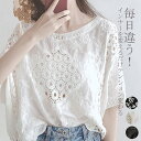 ブラウス シャツ トップス プルオーバー シャツブラウス ブラウス レディース レース 透かし雕り 長袖 無地 シースルー ベーシック カジュアル風 春夏