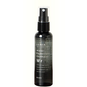 LUXIA ラクシア 超強力撥水シャンプ− 80ml 超撥水コーティング 光沢 ボディガラスコーティング メンテナンス 簡単施工