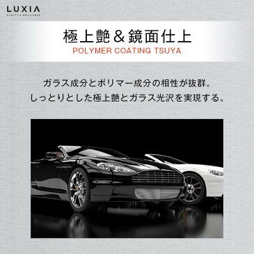 LUXIA ラクシア ポリマーコーティング 200ml ガラス系コーティング剤 極艶 洗車キズ拡散 高級脂肪酸&変性シリコン配合 肌触りツルツル 簡単施工