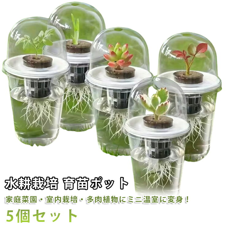 水耕栽培 育苗ポット家庭菜園・室内栽培・多肉植物にミニ温室に変身！5個セットドーム型の蓋がミニ温室に変身！根の成長が楽しく見える透明カップの水耕栽培キット。高透明カップで根の状態と水量がひと目でわかります。専用の育苗スポンジとホルダーで植物を中央にしっかり固定して水だけで育てるため、虫が湧きにくく、キッチンやデスクの上にも安心して置けます。ぷっくりとした多肉植物の葉挿しやカッティング苗の定着、ハーブの自家栽培、観葉植物のハイドロカルチャーへの移行など、アイデア次第でマルチに大活躍します。窓際やリビングの棚にいくつか並べておくだけで、お洒落なナチュラルインテリアとして日々の暮らしに癒やしを与えてくれます。 サイズ 5個セット サイズについての説明 10x10x15cm 素材 プラスチック 色 クリア 備考 ●サイズ詳細等の測り方はスタッフ間で統一、徹底はしておりますが、実寸は商品によって若干の誤差(1cm～3cm )がある場合がございますので、予めご了承ください。 ●製造ロットにより、細部形状の違いや、同色でも色味に多少の誤差が生じます。 ●パッケージは改良のため予告なく仕様を変更する場合があります。 ▼商品の色は、撮影時の光や、お客様のモニターの色具合などにより、実際の商品と異なる場合がございます。あらかじめ、ご了承ください。 ▼生地の特性上、やや匂いが強く感じられるものもございます。数日のご使用や陰干しなどで気になる匂いはほとんど感じられなくなります。 ▼同じ商品でも生産時期により形やサイズ、カラーに多少の誤差が生じる場合もございます。 ▼他店舗でも在庫を共有して販売をしている為、受注後欠品となる場合もございます。予め、ご了承お願い申し上げます。 ▼出荷前に全て検品を行っておりますが、万が一商品に不具合があった場合は、お問い合わせフォームまたはメールよりご連絡頂けます様お願い申し上げます。速やかに対応致しますのでご安心ください。