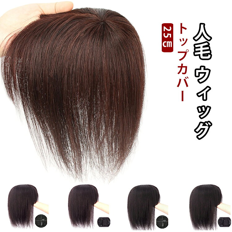 程よい毛量で抜け毛、脱毛、薄毛隠しにお勧め！手植えで仕上がりのワンレングスのトップペース・ヘアカバー。人工頭皮に毛を手植えしてるので、自毛のようにふんわり立ち上がり、見た目も自然！前後左右同じ長さのワンレングスタイプなので、どこからつけてもOK！毛量少なめの軽量タイプで、サッと着けられてアレンジもしやすい。人毛なので、アイロン、コテ、ドライヤー、またパーマ、ブリーチ、スタイリング剤などの使用も可能です。 サイズ 25cm サイズについての説明 サイズ：25cm※商品のサイズは手作業で測定させて頂いておりますので、若干の誤差があります。 素材 人毛 色 ブラッククリップ2 ブラウンククリップ2 ブラッククリップ3 ブラウンククリップ3 備考 ●サイズ詳細等の測り方はスタッフ間で統一、徹底はしておりますが、実寸は商品によって若干の誤差(1cm～3cm )がある場合がございますので、予めご了承ください。 ●製造ロットにより、細部形状の違いや、同色でも色味に多少の誤差が生じます。 ●パッケージは改良のため予告なく仕様を変更する場合があります。 ▼商品の色は、撮影時の光や、お客様のモニターの色具合などにより、実際の商品と異なる場合がございます。あらかじめ、ご了承ください。 ▼生地の特性上、やや匂いが強く感じられるものもございます。数日のご使用や陰干しなどで気になる匂いはほとんど感じられなくなります。 ▼同じ商品でも生産時期により形やサイズ、カラーに多少の誤差が生じる場合もございます。 ▼他店舗でも在庫を共有して販売をしている為、受注後欠品となる場合もございます。予め、ご了承お願い申し上げます。 ▼出荷前に全て検品を行っておりますが、万が一商品に不具合があった場合は、お問い合わせフォームまたはメールよりご連絡頂けます様お願い申し上げます。速やかに対応致しますのでご安心ください。