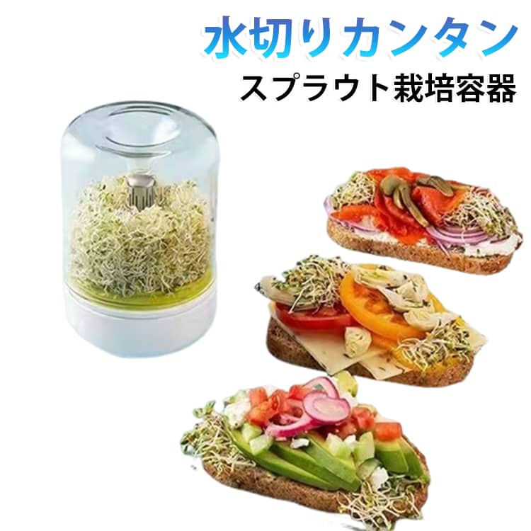 家庭菜園 栽培容器 自由研究 スプラウト栽培 種子 ブロッコリースプラウト 食育 野菜 室内 おしゃれ 種 種子栽培 スルフォラファン 園芸 収穫 豆苗 育てる スプラウト 家庭用 初心者 簡単 栽培容器
