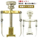 防止 2個セット!収納ケース付き まき爪 巻き爪 巻爪 巻き爪 矯正器具 足の巻き爪 ネイルケア 防止 矯正 セルフケア ネイル 陥入爪 器具 巻爪ケア 矯正(4)