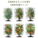 DIY 網 野菜網 園芸用ネット 野菜栽培 防虫ネット 2枚セット！植物保護カバー 鉢植え用 防鳥ネット ベランダ 2枚セット！植物保護カバー 植物保護袋 みかん 家庭菜園 農業 菜園プランター用 園芸用品 果樹園