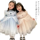 キッズ ワンピース こども服 カジュアルワンピース こども服 子供服 長袖 女の子 ワンピ 送料無料 キッズワンピース ガールズ 女の子 姫系 プリンセス キッ...