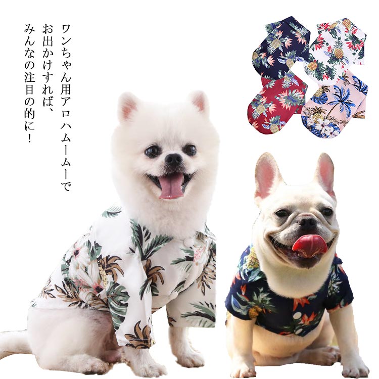犬服・アクセサリー mumu □ 商品名 フラワーニット（ブラック） □ 商品紹介 軽くて