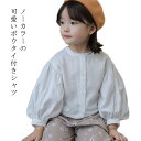 前開き シャツ 子供 長袖 カットソー キッズ キッズ 子供 女の子 ジュニア ブラウス 子供服 ボリューム袖 バルーン袖 フロントボタン 春秋 トップス 長袖 長そで 子供服 ノーカラー こども 子ども 長袖シャツ