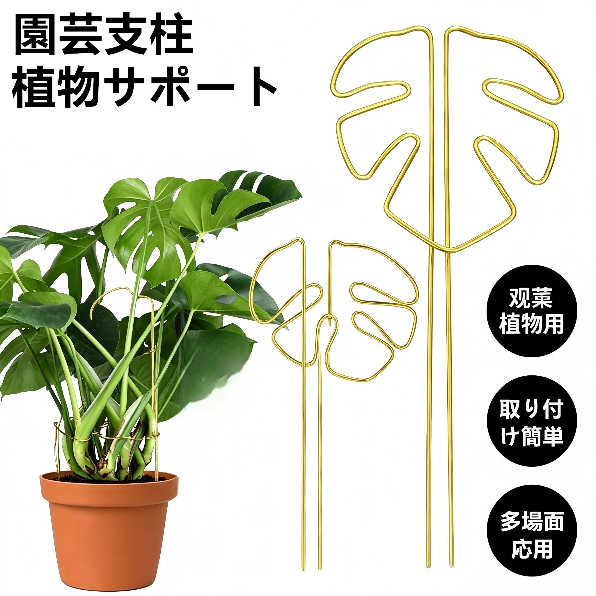 楽天市場】モンステラ 支柱（ガーデニング・農業｜花・ガーデン・DIY