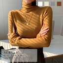 【 74%OFF SALE セール 】トップス シアー ハイネック 透け感 チュニック レディース 長袖 大人 差し色 トレンド シアー Tシャツ ラフコーデ ...