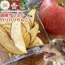 送料無料 無添加 国産 犬 おやつ りんご リンゴ 果物 フルーツ ドッグフード 犬のおやつ 犬用おやつ ペットフード ペットのおやつ グルテンフリー グレインフリー ダイエット ヘルシー 健康 シニア 認知症予防 栄養 低脂肪 10g 20g 50g