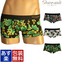 ≪セール34%OFF≫Gravevault メンズ ローライズ ボクサーパンツ グレイブボールト蔦 芸能人 ブランド 正規品 下着 パンツ インナー 誕生日 プ...