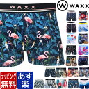 WAXX {NT[pc bsO  bNX FLAMINGO COCONUT CURACAO FIDJI Y uh Ki  pc Ci[ [CY a v[g Mtg ގ  j U l 